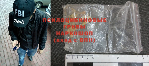 шишки Абдулино
