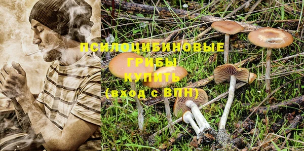 прущие грибы Сатка