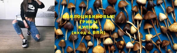 гидра Абинск